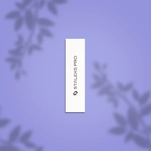 Lot de 10 Blocs blancs Staleks grain 150 NFB-51-150-10