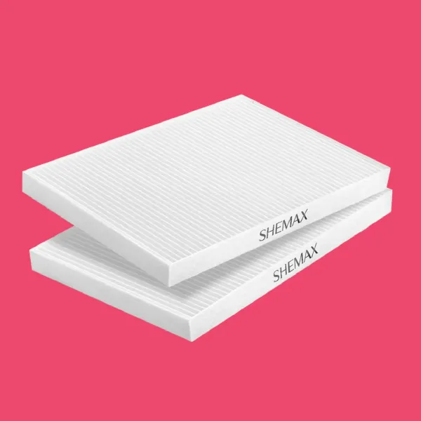 Lot de 2 Filtres Hepa Aspirateur Style Pro et V-Pro Shemax