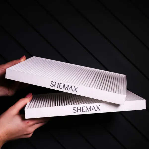 Filtres Hepa Aspirateurs Shemax Style V-Pro et Style Pro