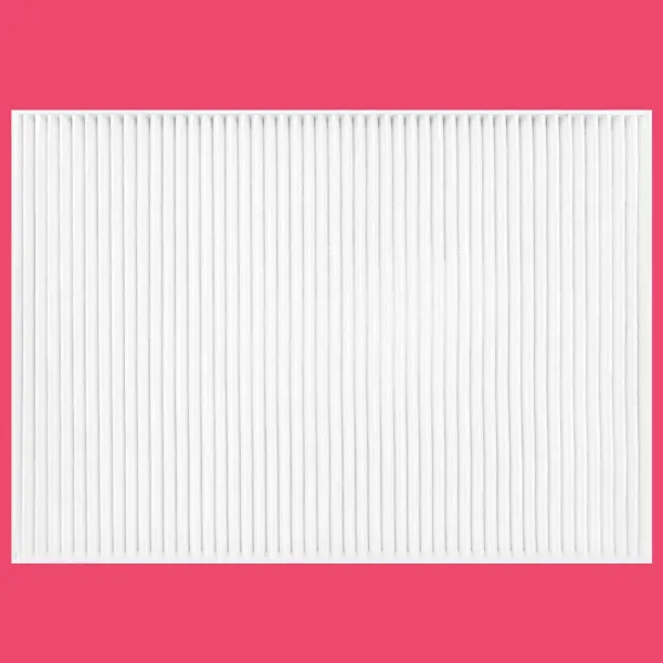 Filtre Hepa Aspirateur Style Pro et V-Pro Shemax