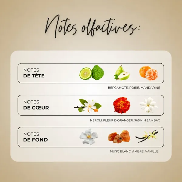 Notes olfactives : Ambrée et florale