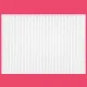 Filtre Hepa Aspirateur Style Pro et V-Pro Shemax