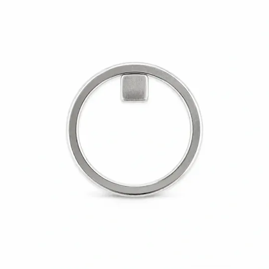 Aimant circulaire pour effet cat eye