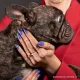 Inspiration ongle indigo