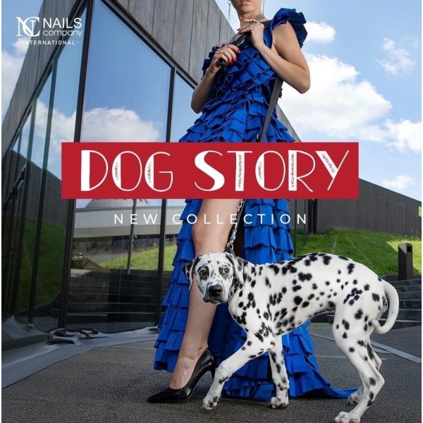 Collection DOG STORY