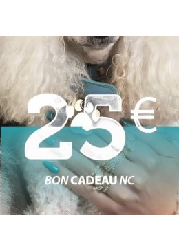 Chèque Cadeau NCLens 25€