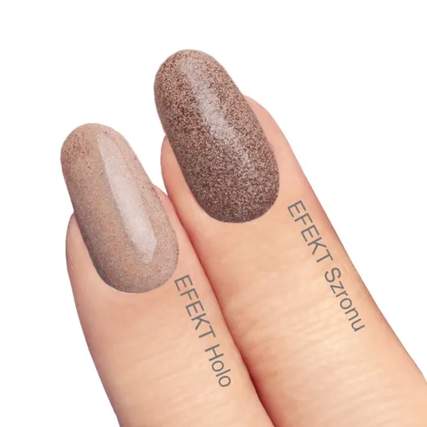 Holo Color n°7 3g