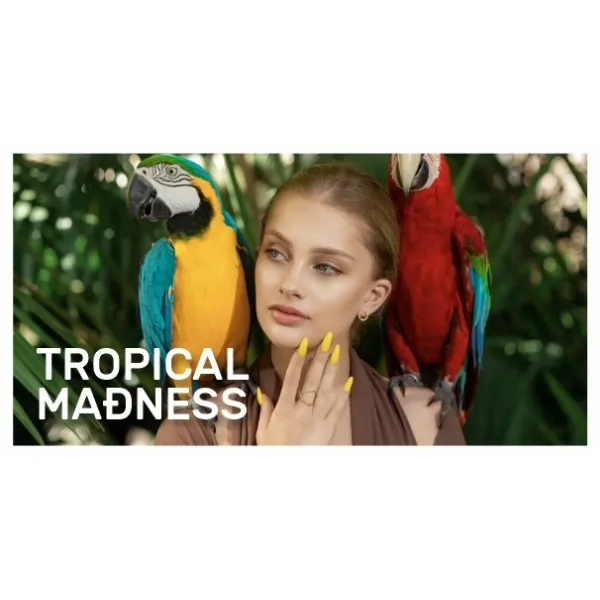 VSP - Tropical Madness