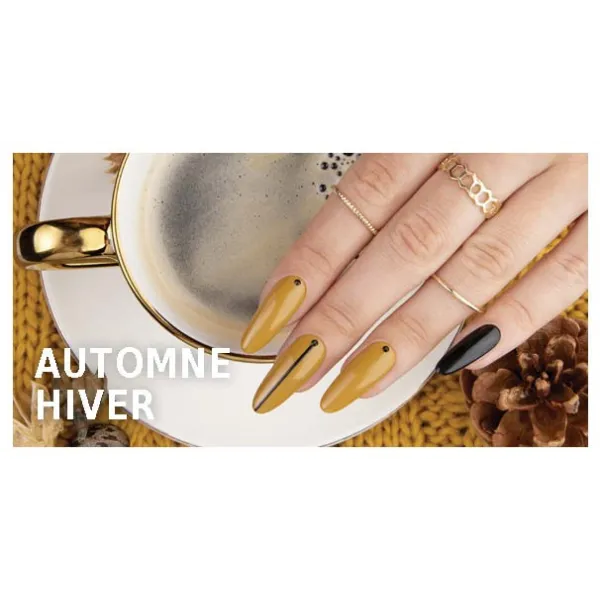 Automne / Hiver